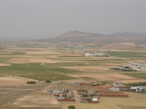 View from Cerro Calderico in the city of Consuegra, Spain