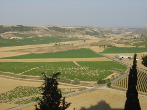 View of the Duero river valley from atop the Penafiel Castle